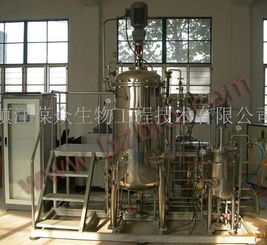 BZ多級發(fā)酵罐與葆眾網(wǎng)絡(luò)工程的融合創(chuàng)新