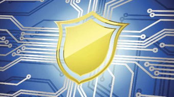 2019年蒼南縣網(wǎng)絡(luò)安全宣傳周啟動(dòng) 聚焦網(wǎng)絡(luò)安全軟件開發(fā)，活動(dòng)精彩不容錯(cuò)過