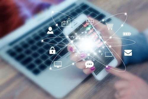 系統定制開發與網絡安全軟件開發為何價格高昂？